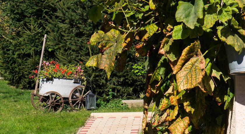 Ferienwohnung Am Elberadweg Δρέσδη Εξωτερικό φωτογραφία