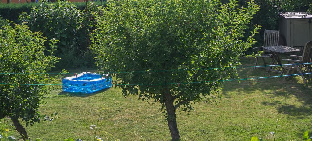 Ferienwohnung Am Elberadweg Δρέσδη Δωμάτιο φωτογραφία
