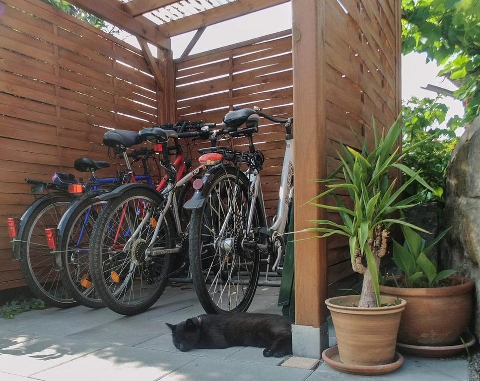Ferienwohnung Am Elberadweg Δρέσδη Εξωτερικό φωτογραφία