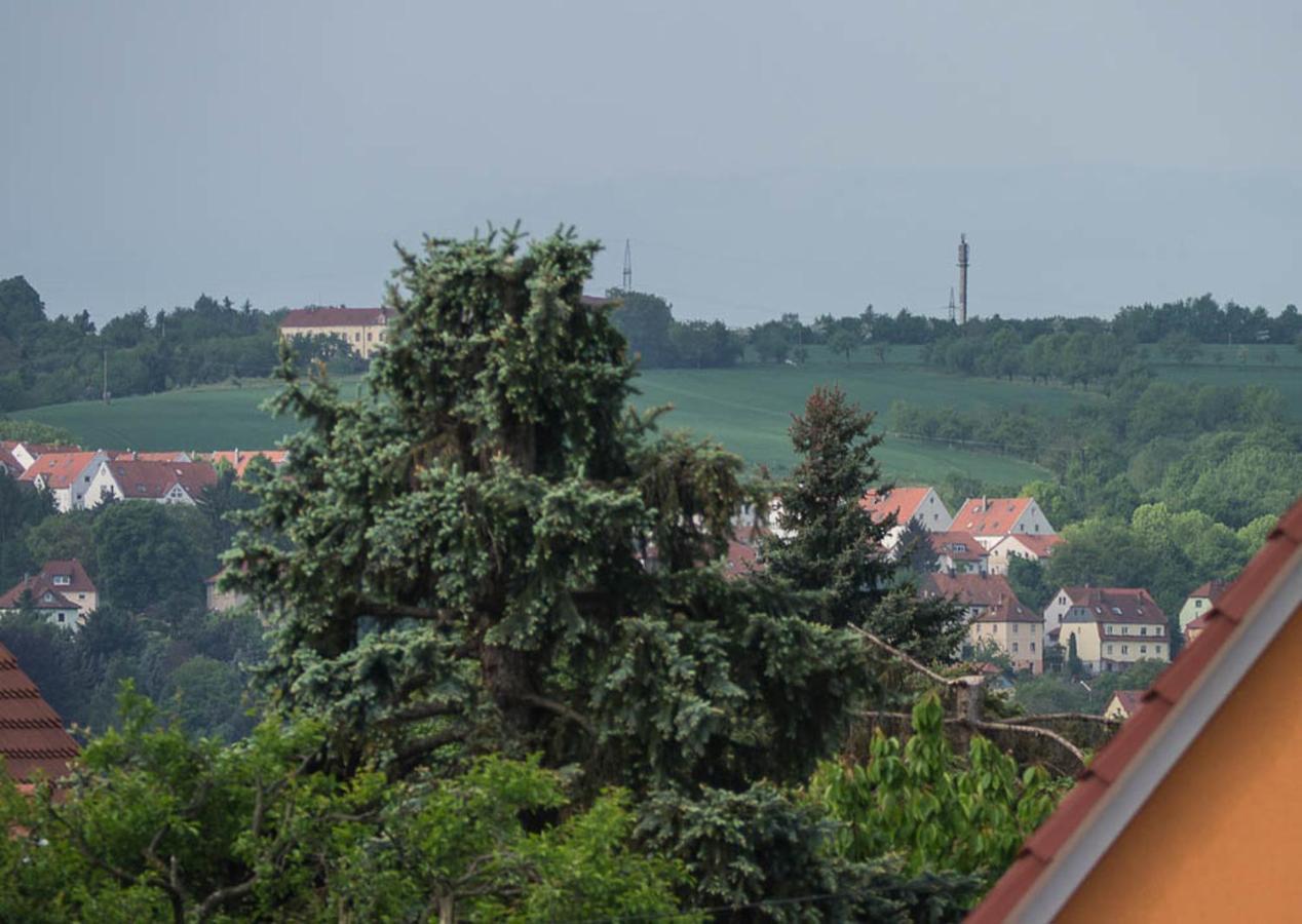 Ferienwohnung Am Elberadweg Δρέσδη Δωμάτιο φωτογραφία